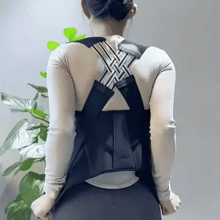 Haltura - der innovative Haltungstrainer