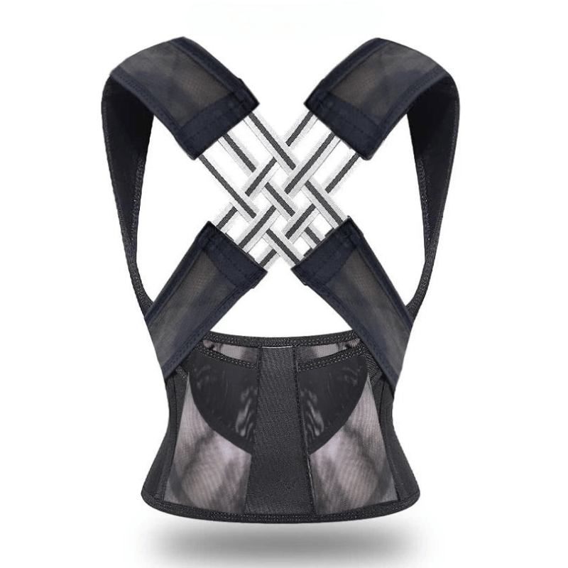 Haltura - der innovative Haltungstrainer