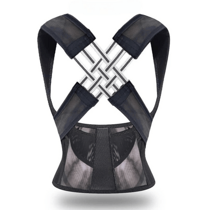 Haltura - der innovative Haltungstrainer